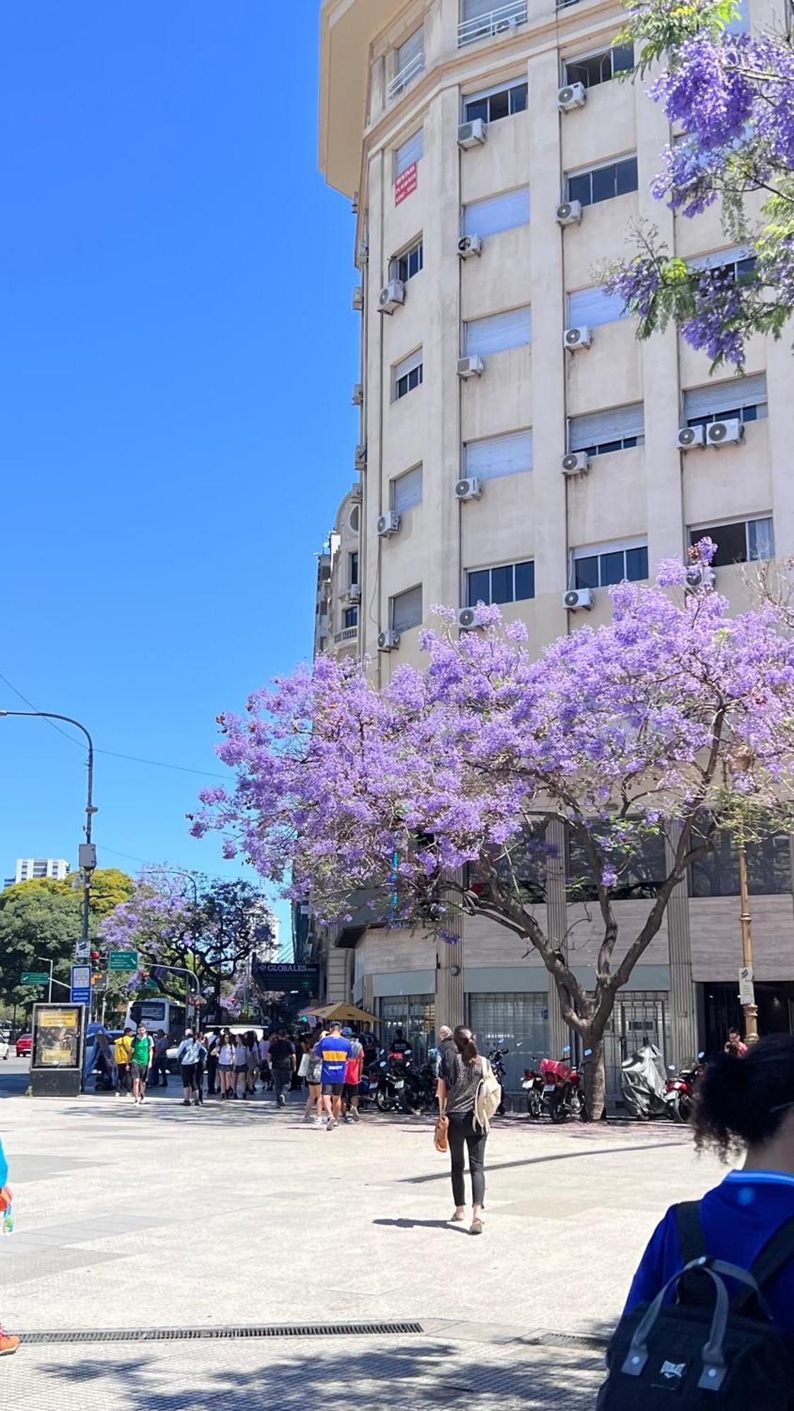 Apartamento Loft Obelisco Ciudad Autónoma de Ciudad Autónoma de Buenos Aires Exterior foto
